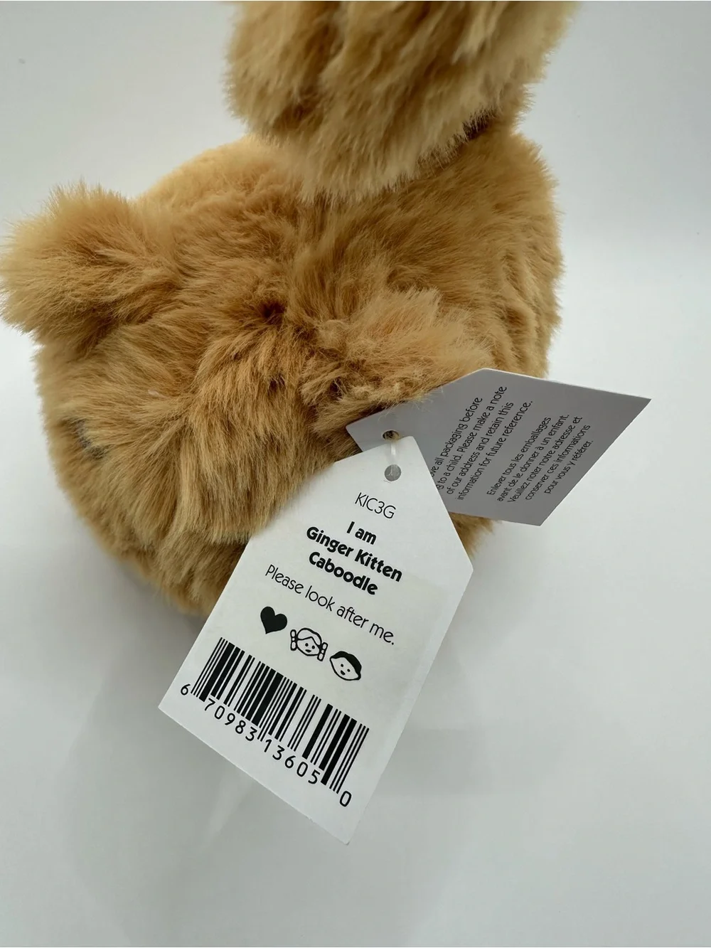 NWT Retired Jellycat Ginger kitten caboodle